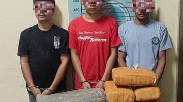 Digerebek Saat Santai Di Rumah, 3 Pria Tak Berkutik – Satresnarkoba Polres Agara Temukan Ganja Belasan Kilo